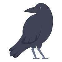 Raven standing and looking back over its shoulder vector