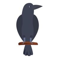 Black raven perched on branch, observing surroundings vector