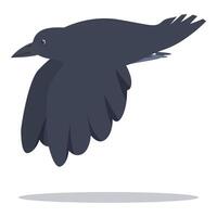 Black crow flying with spread wings and claws visible vector