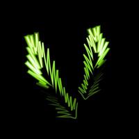 Vivid neon green pine branches designed in a striking formation on a black backdrop vector