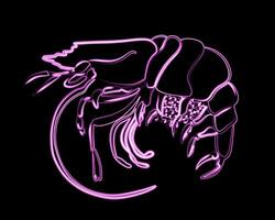 The brightly lit neon shrimp displays its striking colors and intricate details in low light vector