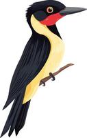 cute simple oxpecker clipart vector