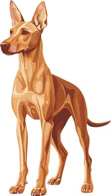 adorable cute simple Pharaoh Hound clipart