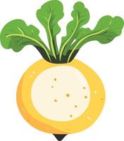 adorable cute simple rutabaga clipart vector