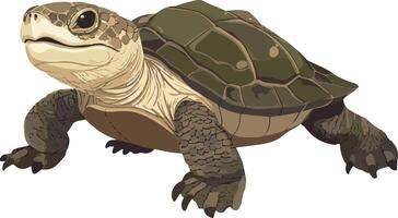 cute simple snapping turtle clipart vector