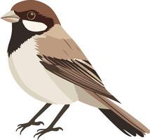 cute simple sparrow clipart vector