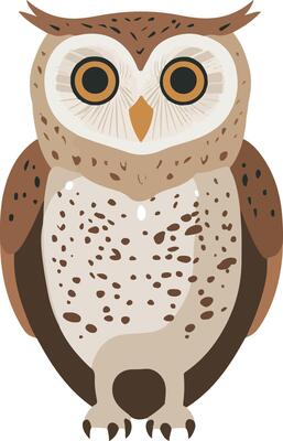 cute simple spotted owl clipart