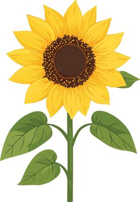 Sunflower Clipart Vector Art Icons and Graphics for Free Download Sunflower Clipart Vector Art Icons and Graphics for Free Download