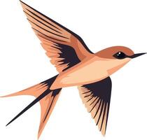 cute simple swift clipart vector