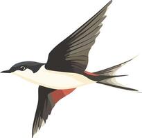 lovely cute simple swift clipart vector