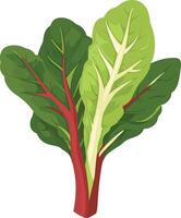 adorable cute simple Swiss chard clipart vector