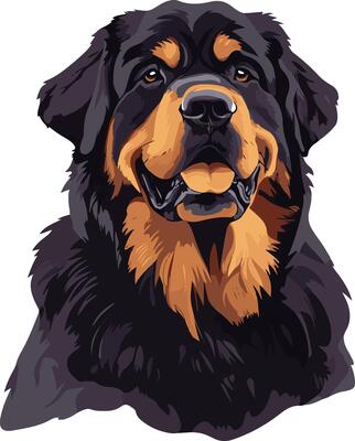adorable cute simple Tibetan Mastiff clipart