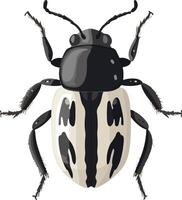 adorable cute simple weevil clipart vector