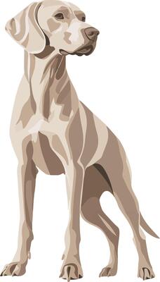 cute simple Weimaraner clipart
