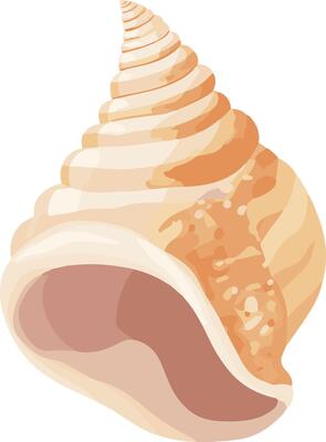 cute simple whelk clipart