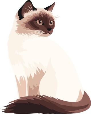 cute simple Birman clipart