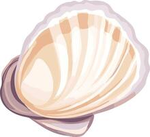 cute simple bivalve clipart vector