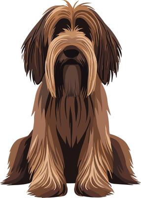 cute simple Briard clipart
