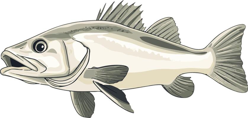 cute simple cod clipart