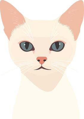 sweet cute simple Colorpoint Shorthair clipart
