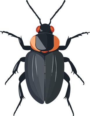 cute simple darkling beetle clipart