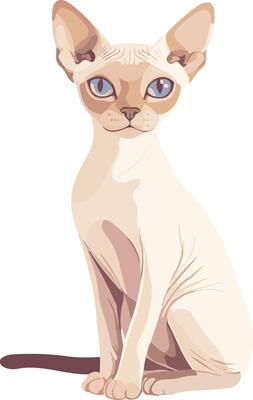 cute simple Donskoy Don Sphynx clipart