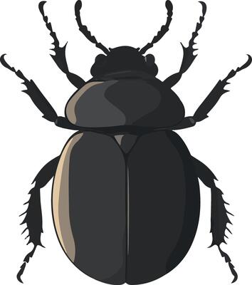 adorable cute simple dung beetle clipart
