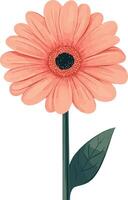 sweet cute simple gerbera daisy clipart vector