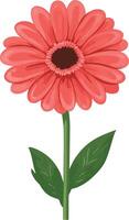 lovely cute simple gerbera daisy clipart vector