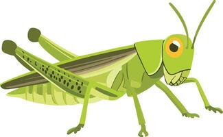 cute simple grasshopper clipart vector