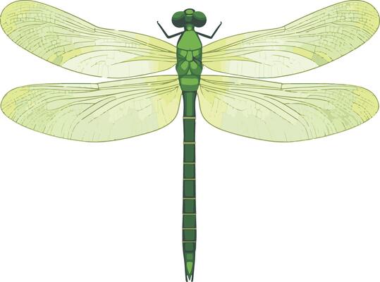 cute simple green darner dragonfly clipart