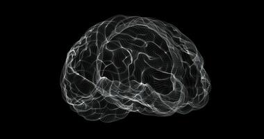 Hologram representation screen 3d of brain in the human body - loop video