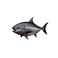 Fresh whole tuna fish isolated on transparent background, side view showing details png