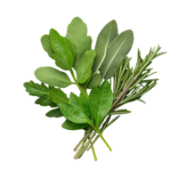 Fresh herb bunch with green leaves, isolated on transparent background png