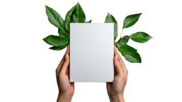 Hands holding blank paper with green leaves in background isolated on transparent background png