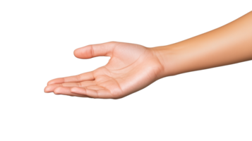 Outstretched hand palm up png