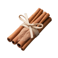Tied bundle of brown cinnamon sticks isolated on transparent background png