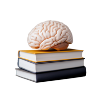 Brain on stack of books on transparent background png