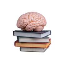 Brain on book stack on transparent background png