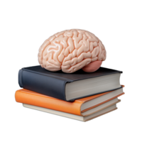 Brain model on top of books on transparent background png