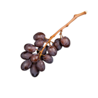 Fresh grape cluster on transparent background png