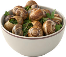 Luxurious Escargot with Aromatic Herbs and Garlic Infusion. . png