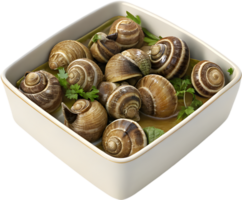 Deliciously Prepared Escargot Served in Elegant Shells. . png