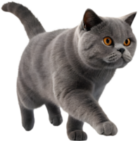 Enhance Animations with Dynamic Running Cat Illusion Clipart. . png
