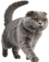 Create Captivating Designs with Smooth Running Cat Illusion Clipart. . png
