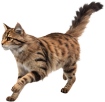 Dynamic Motion Graphics Using Smooth Running Cat Illusion Clipart. . png