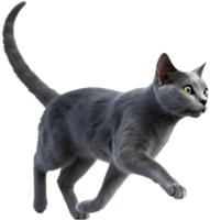 Motion Graphics Enhanced by Smooth Running Cat Illusion Clipart. . png