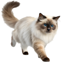 Make Animations Pop with Running Cat Illusion Clipart. . png