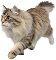 Smooth Running Cat Illusion Clipart for Animated Graphics. . png