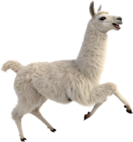 Kawaii Llama Running Clipart for Adding Joy to Projects. . png